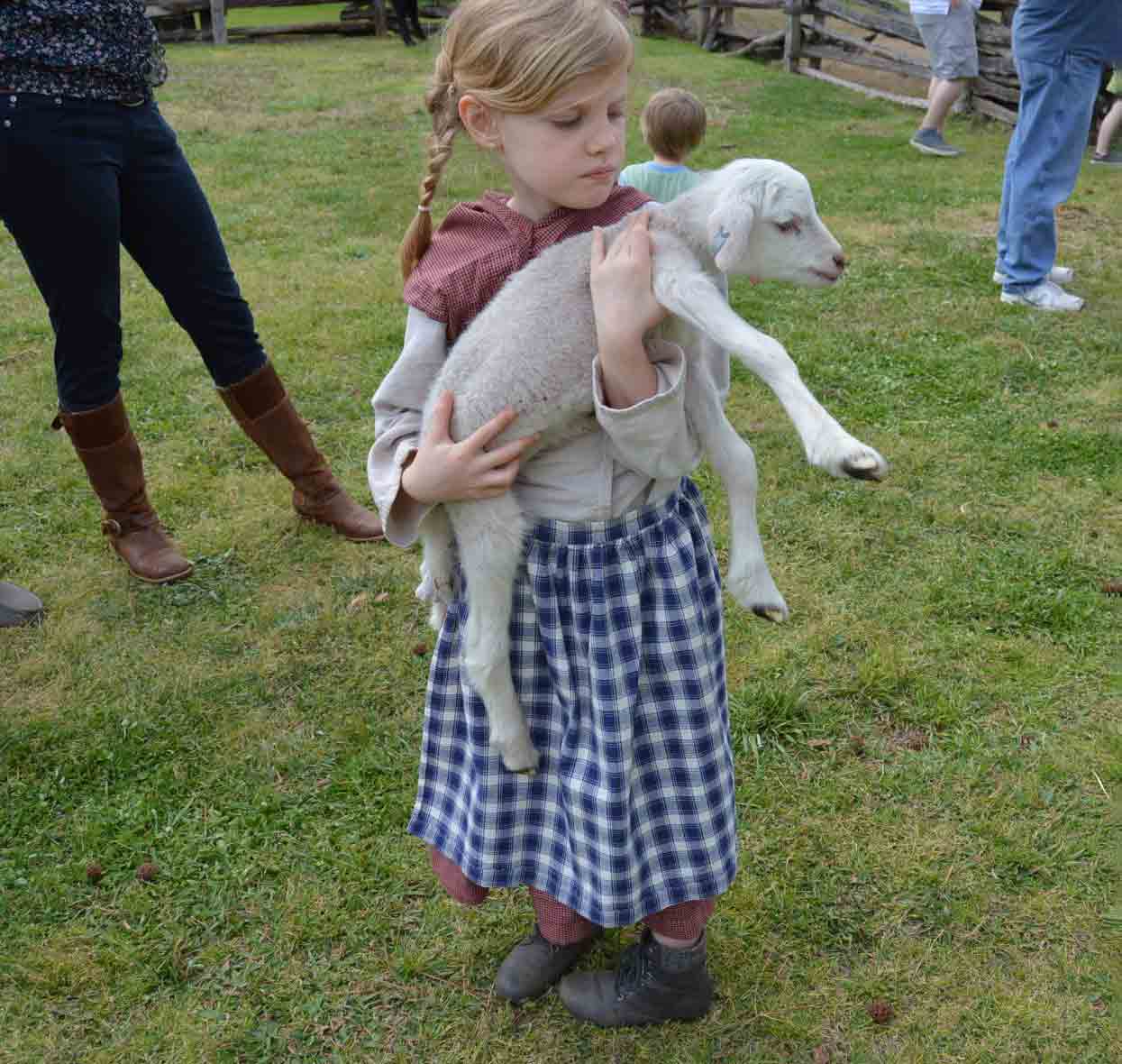young girl holding lamb