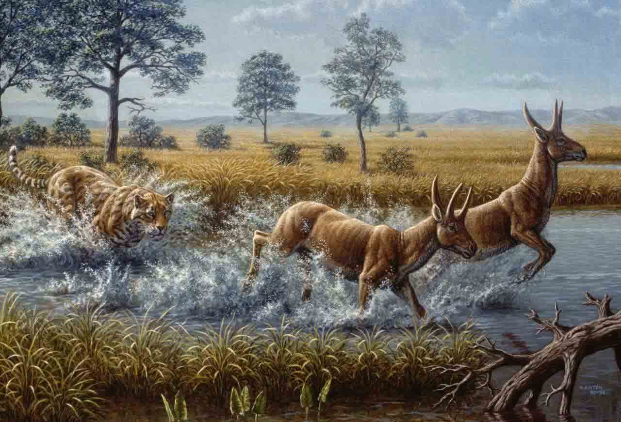 Animals of the Miocene epoch