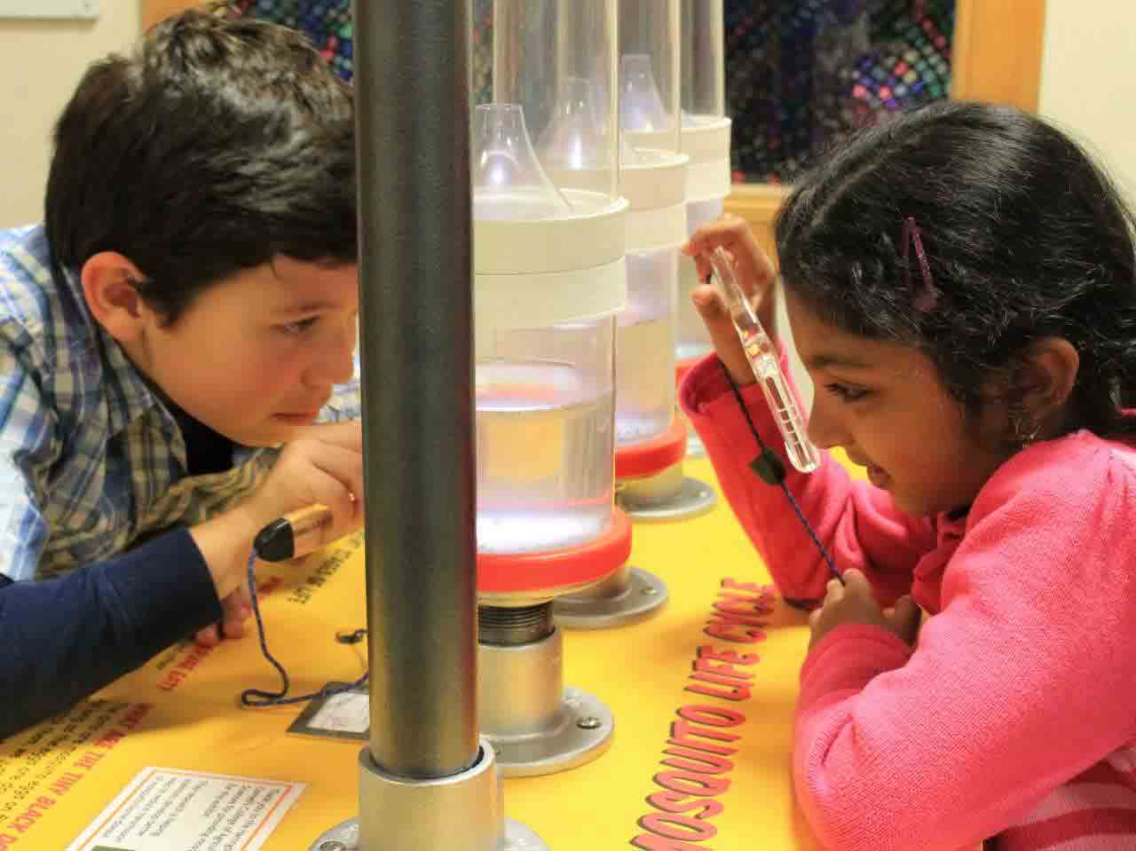 children looking at mosquitos